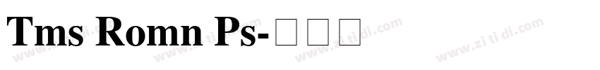 Tms Romn Ps字体转换